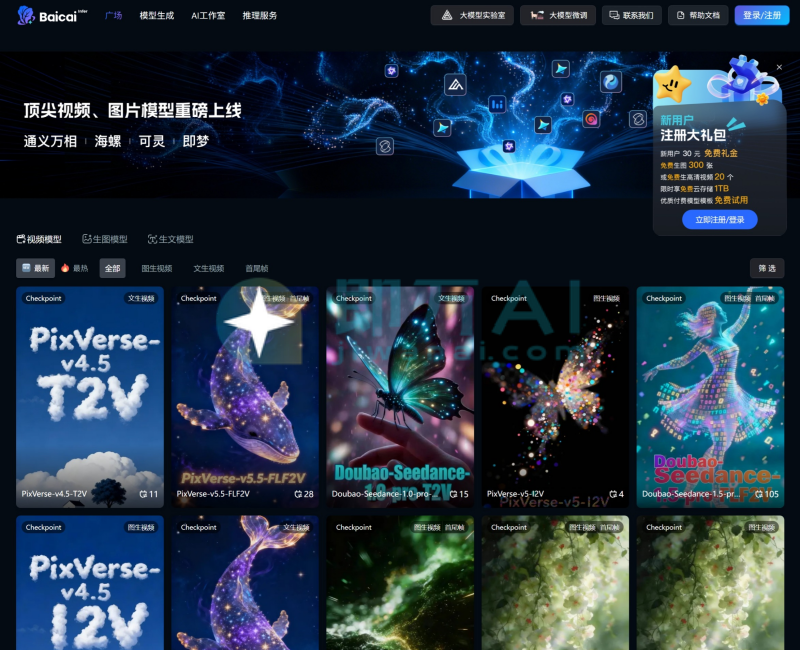 Baicai infer白菜推理